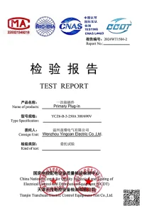 Test Report