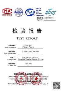 Test Report